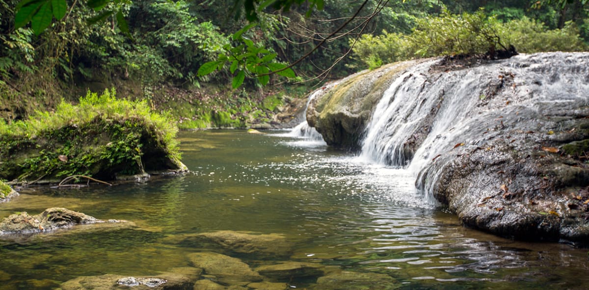 Whisper Wave Waterfall